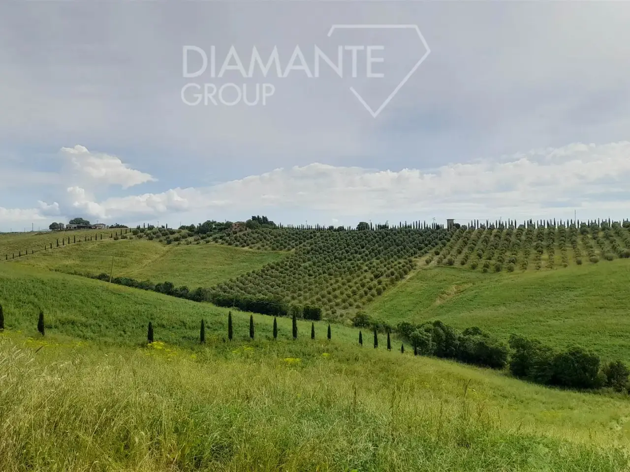 Azienda agricola in , Scansano, {3} - Foto 1