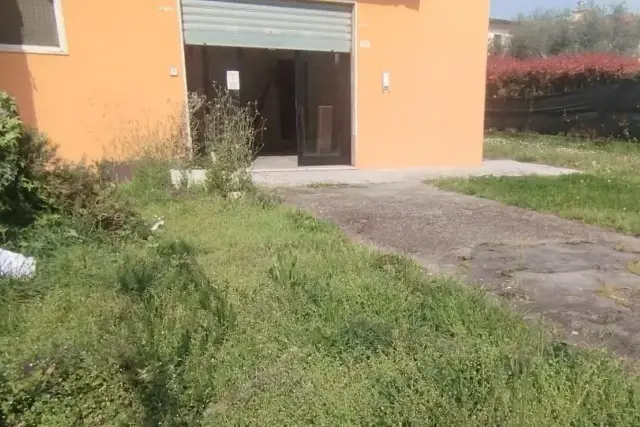 insertion image