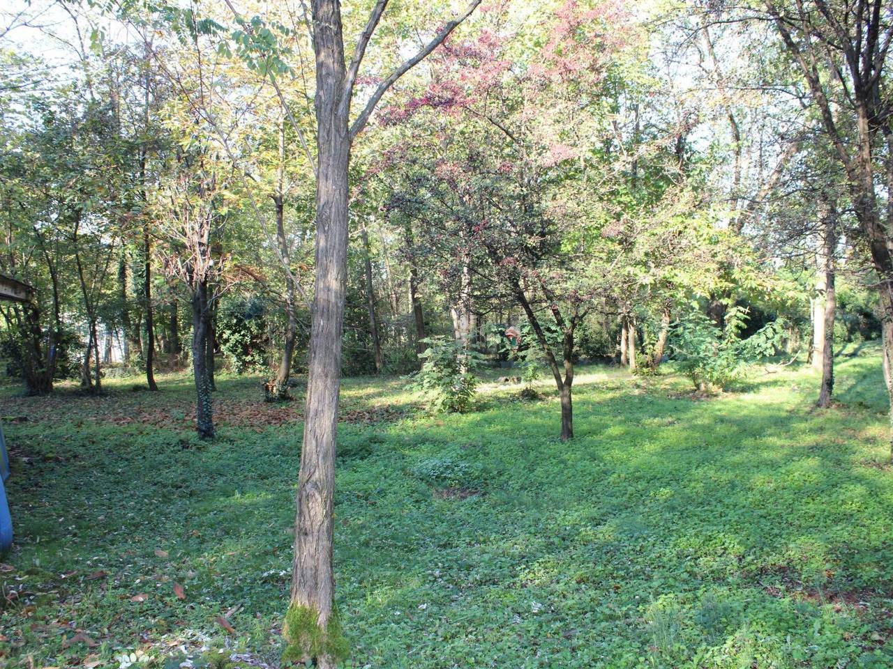 immagine annuncio 11 di 14