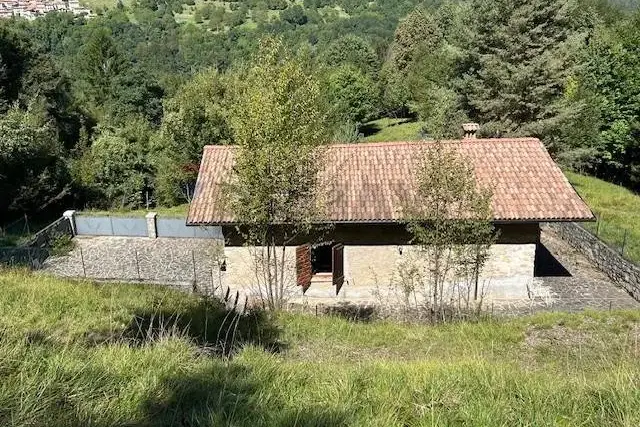 insertion image