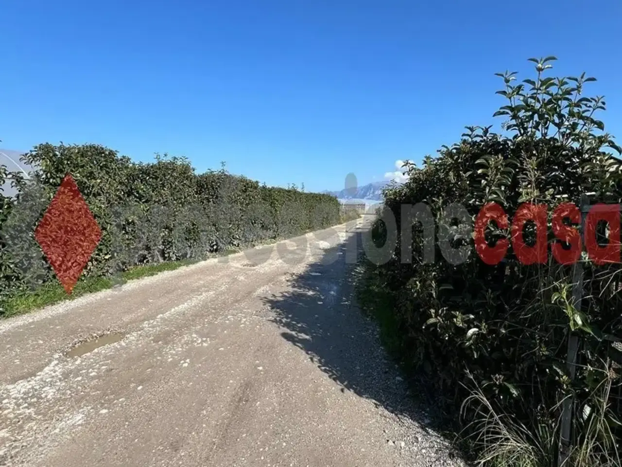 Capannone in Via Ceraso del Tasso Snc, Battipaglia, {3} - Foto 1