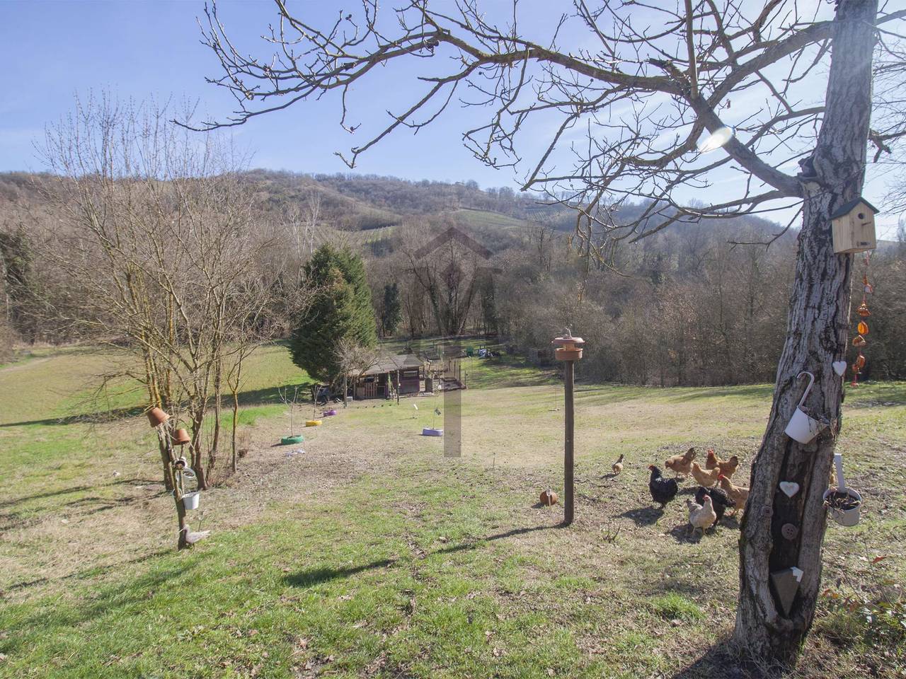 immagine annuncio 5 di 7