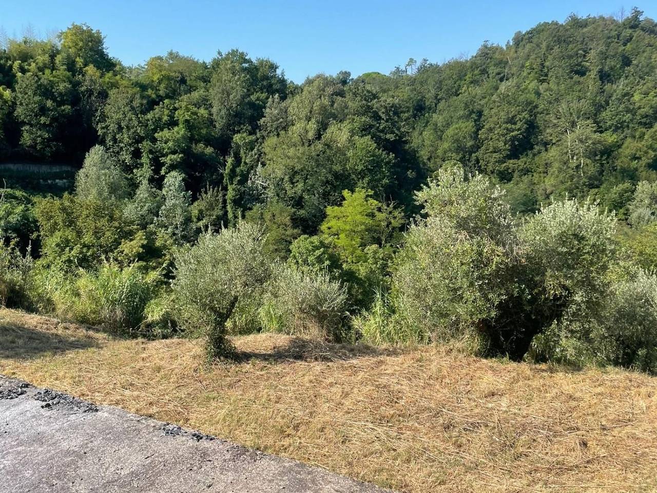 immagine annuncio 8 di 9