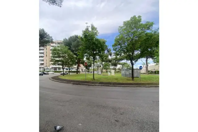 insertion image