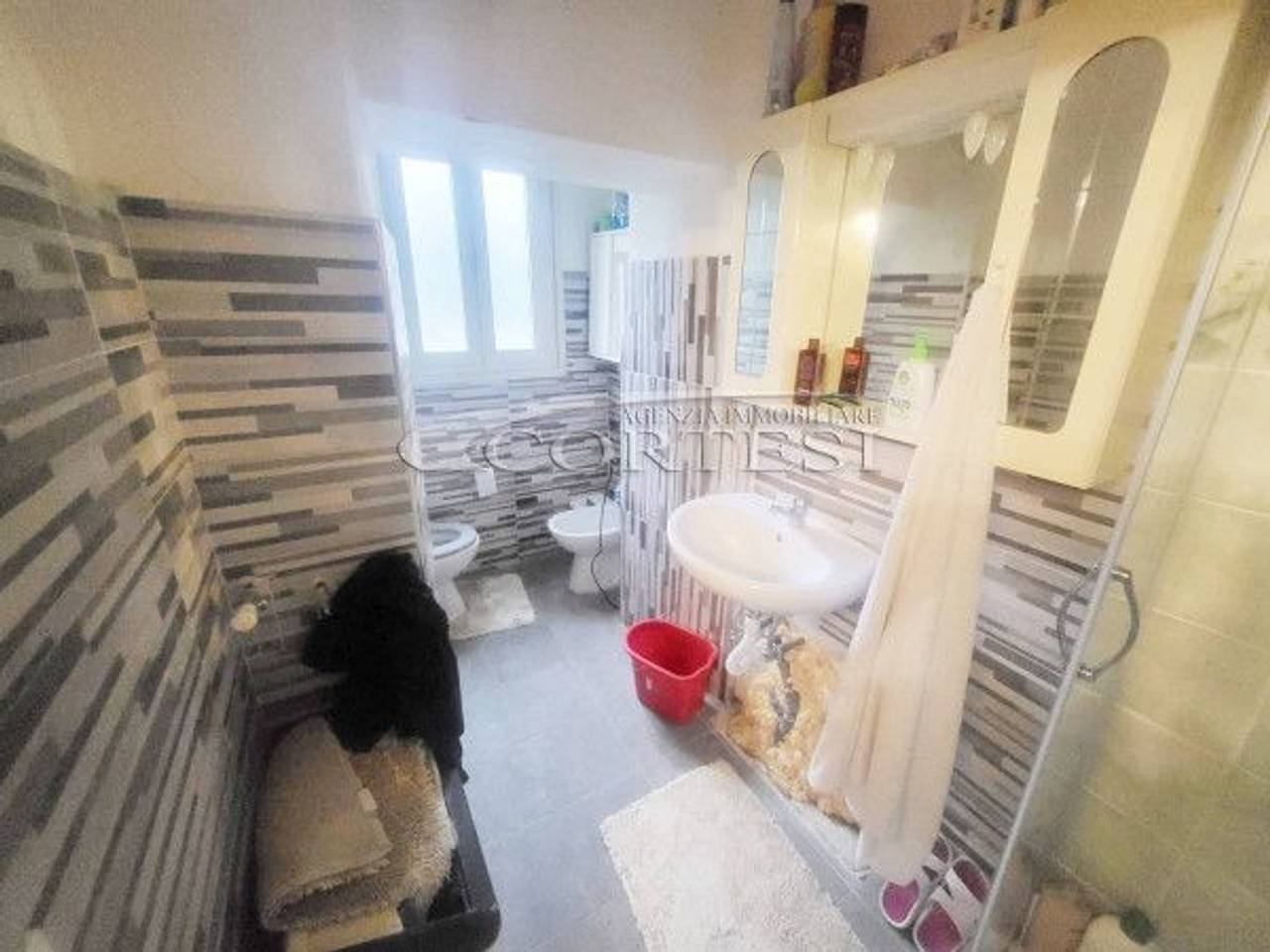 immagine annuncio 6 di 11