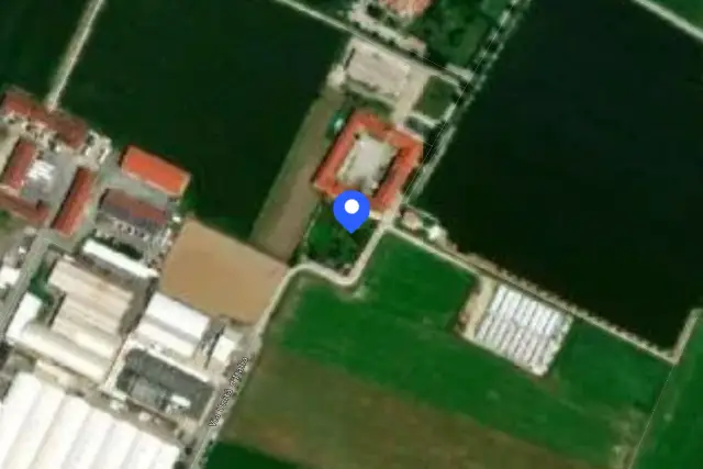 insertion image