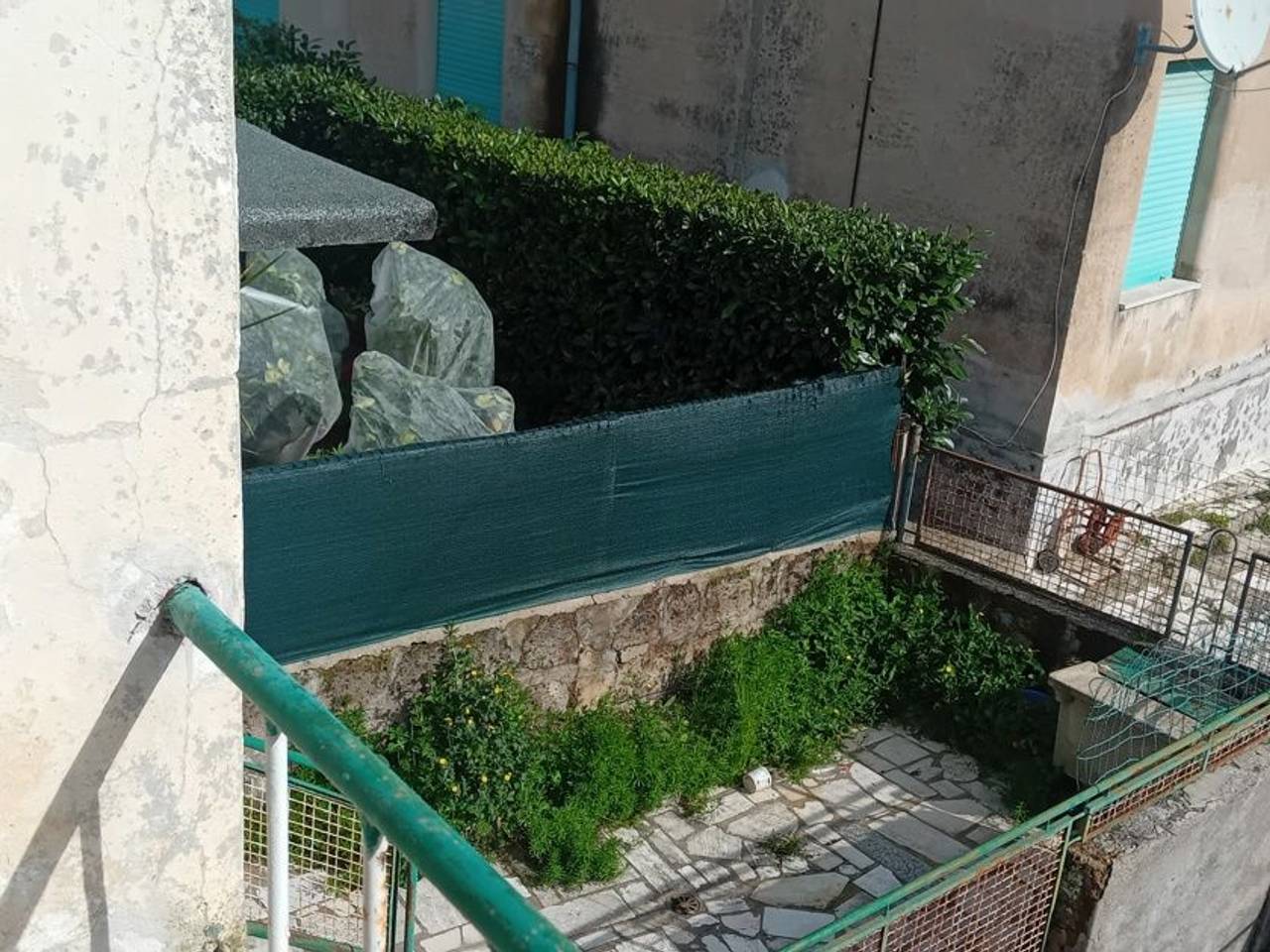 immagine annuncio 11 di 14