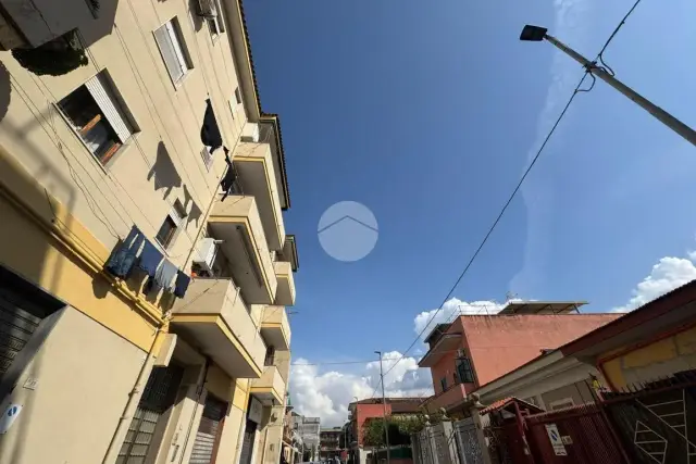 insertion image