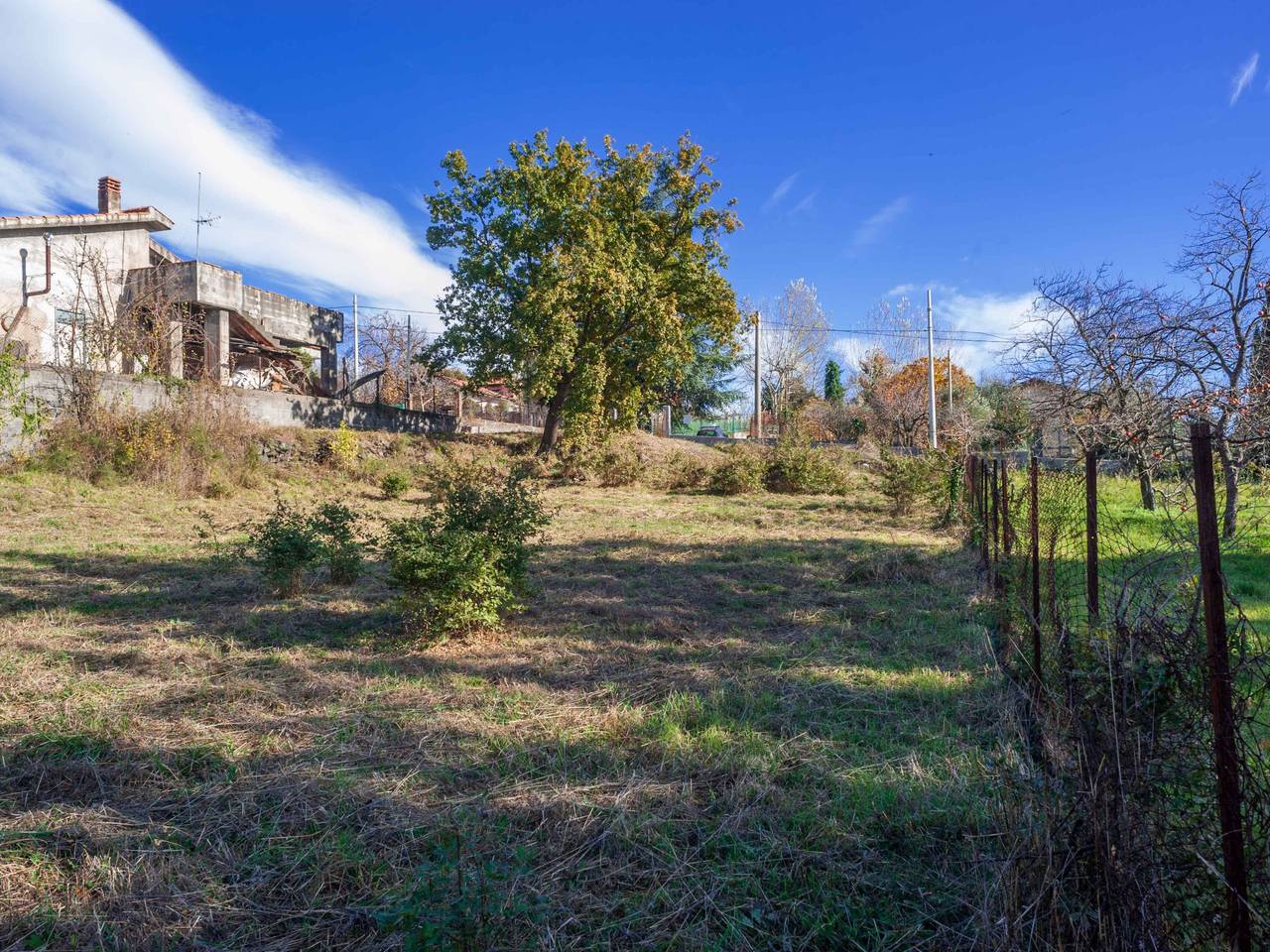 immagine annuncio 3 di 8