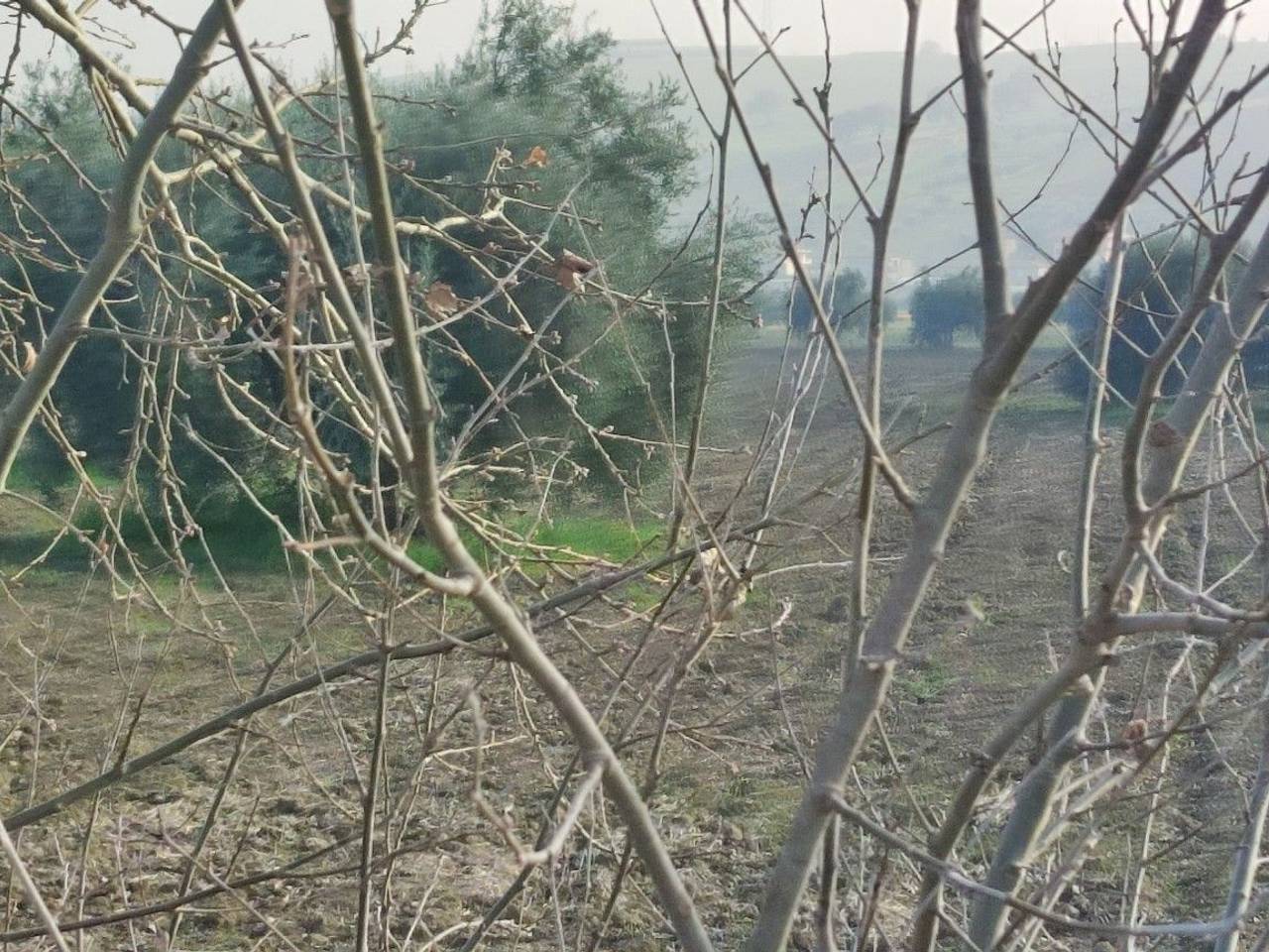 immagine annuncio 10 di 14