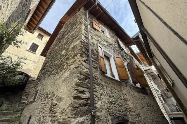 insertion image