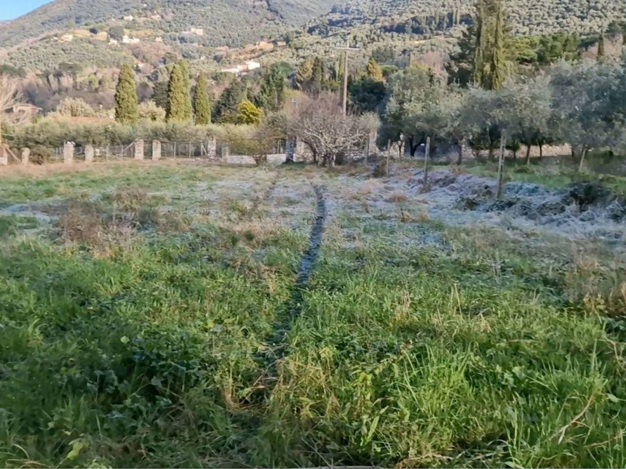 immagine annuncio 4 di 12