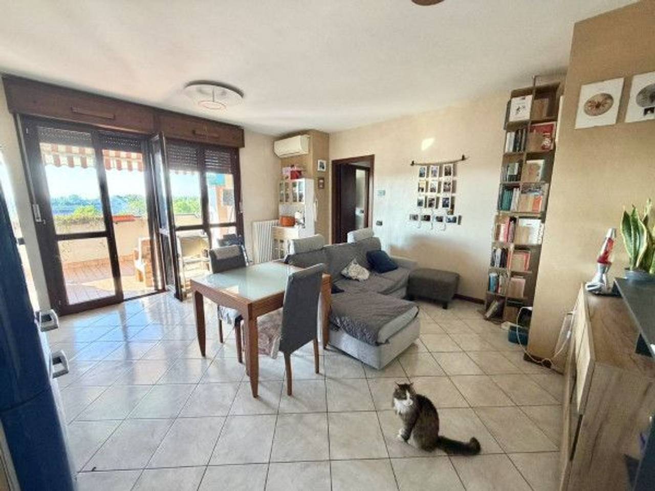 immagine annuncio 4 di 14