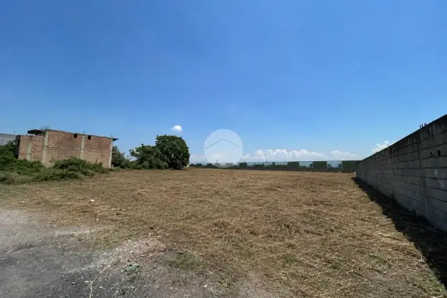 insertion image