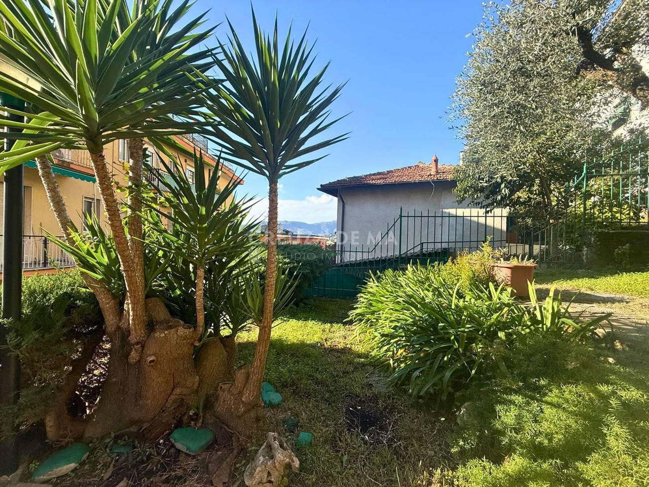 immagine annuncio 1 di 14