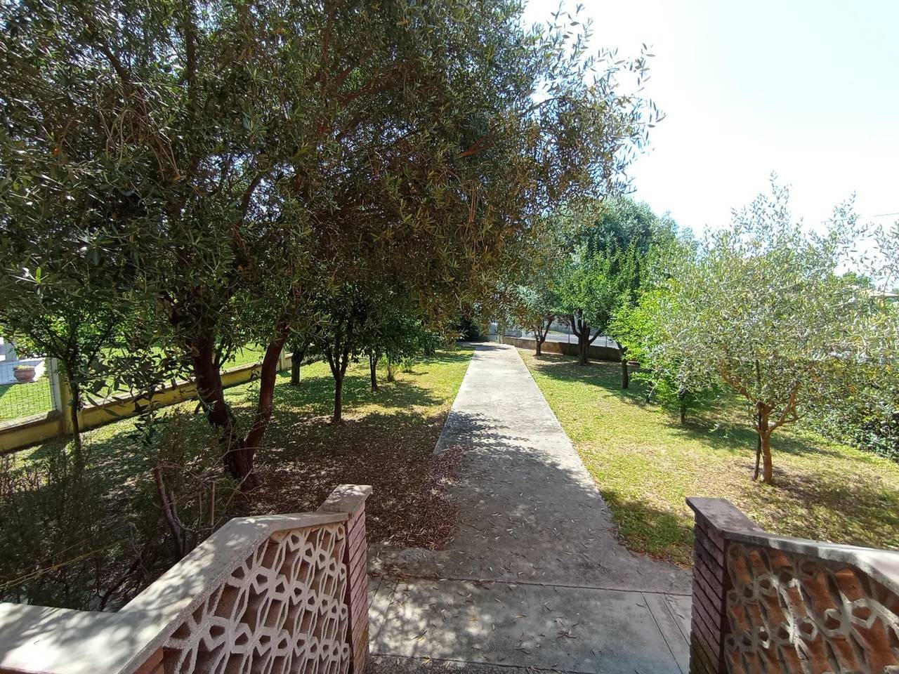 immagine annuncio 4 di 12