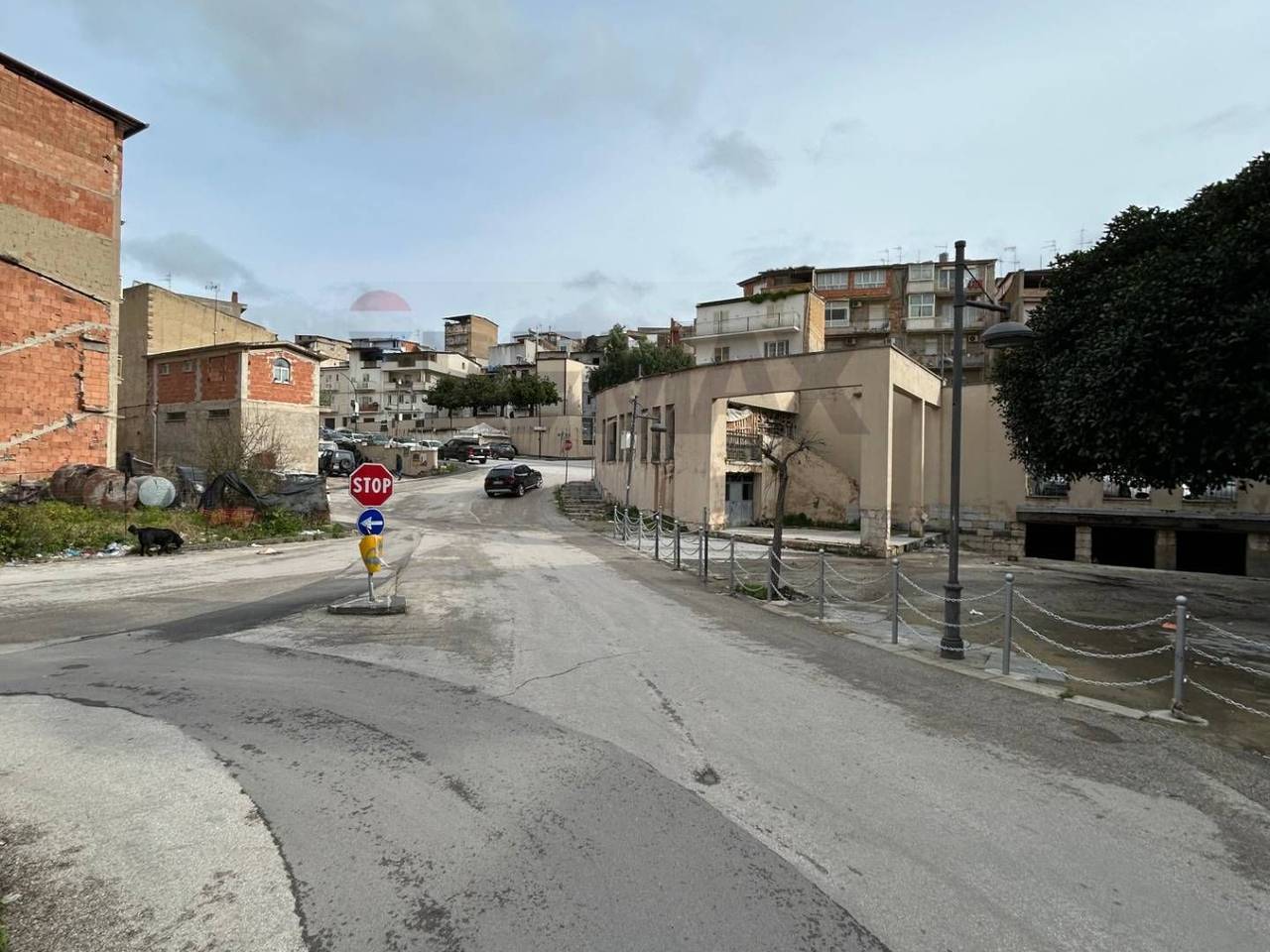 immagine annuncio 8 di 14