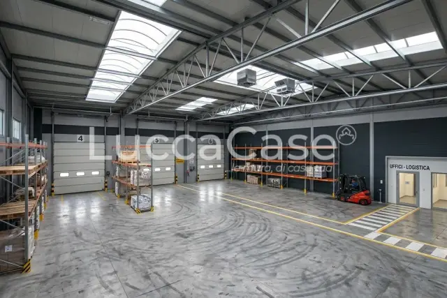 insertion image