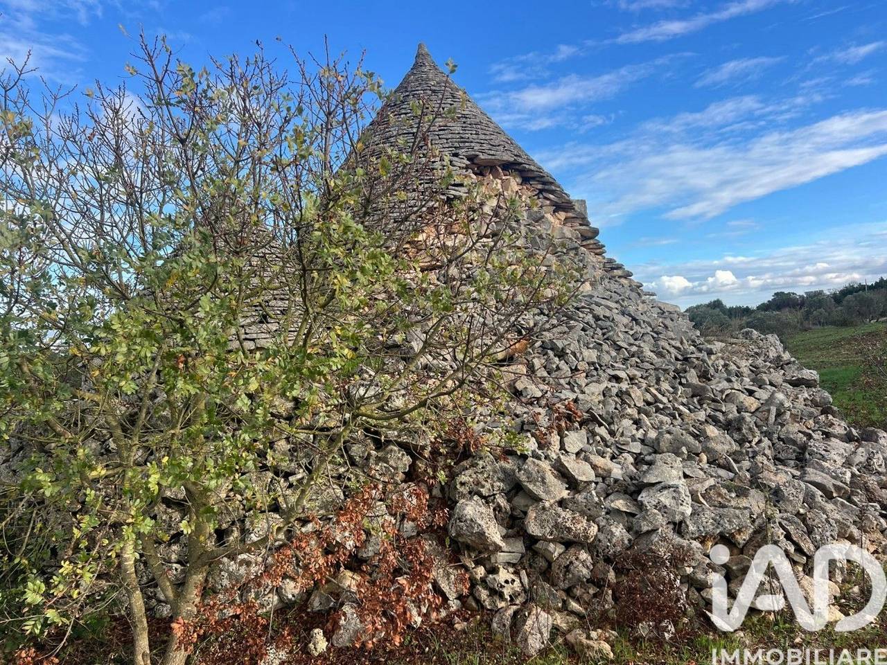 immagine annuncio 7 di 10