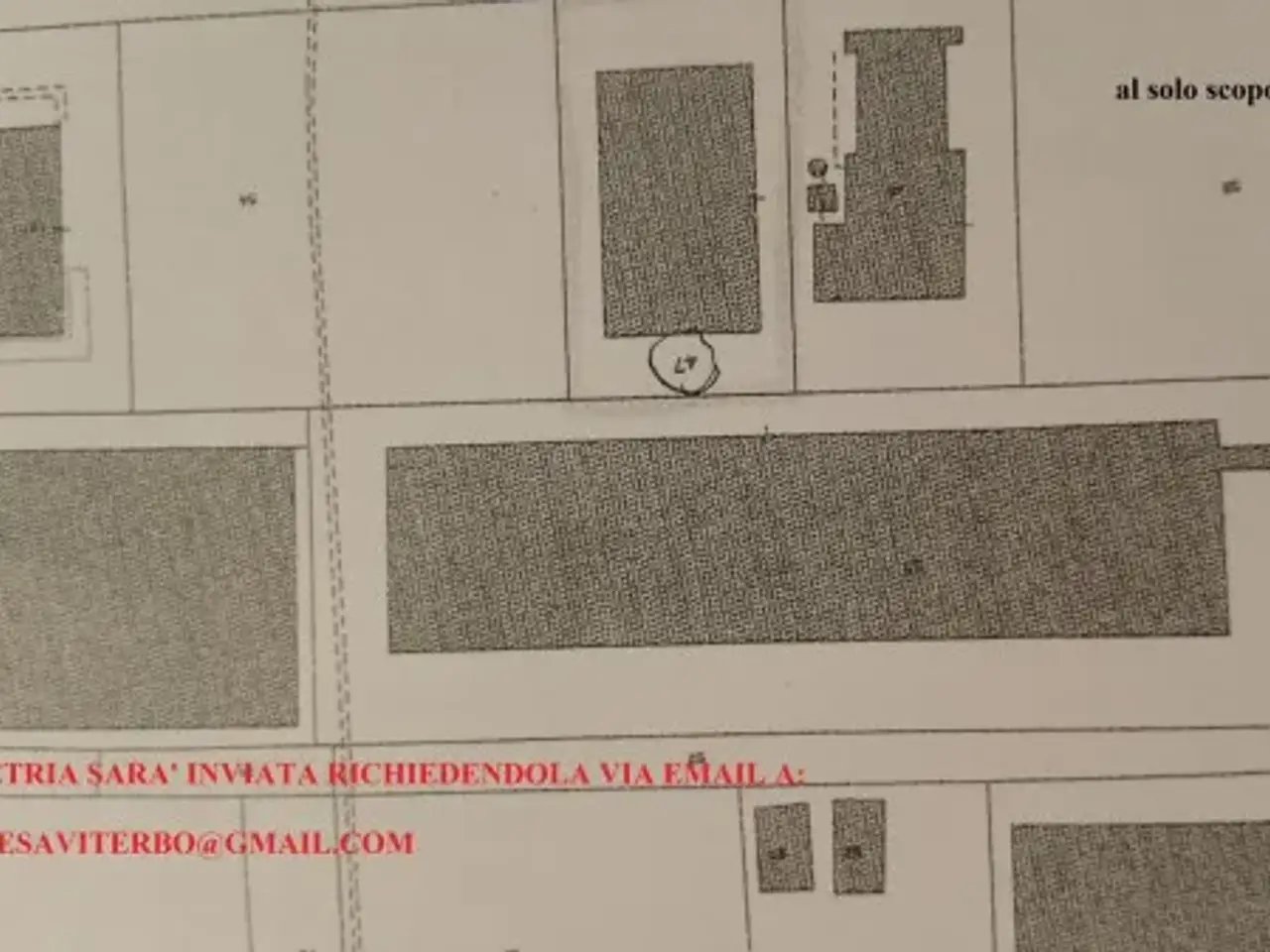 Negozio in Via della Palazzina, Viterbo, {3} - Planimetria 1