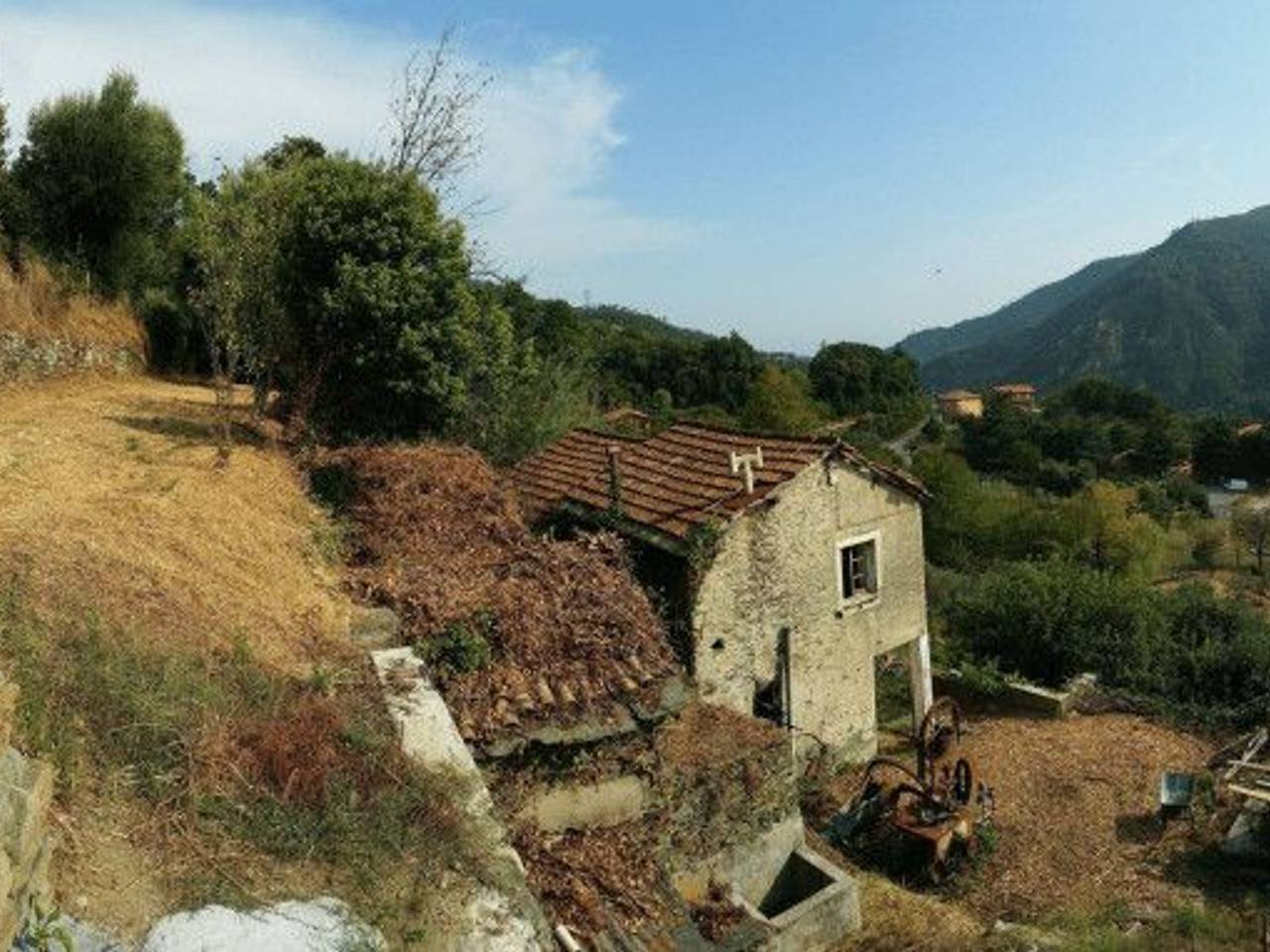 immagine annuncio 2 di 14