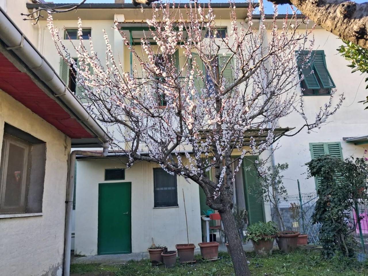 immagine annuncio 9 di 12