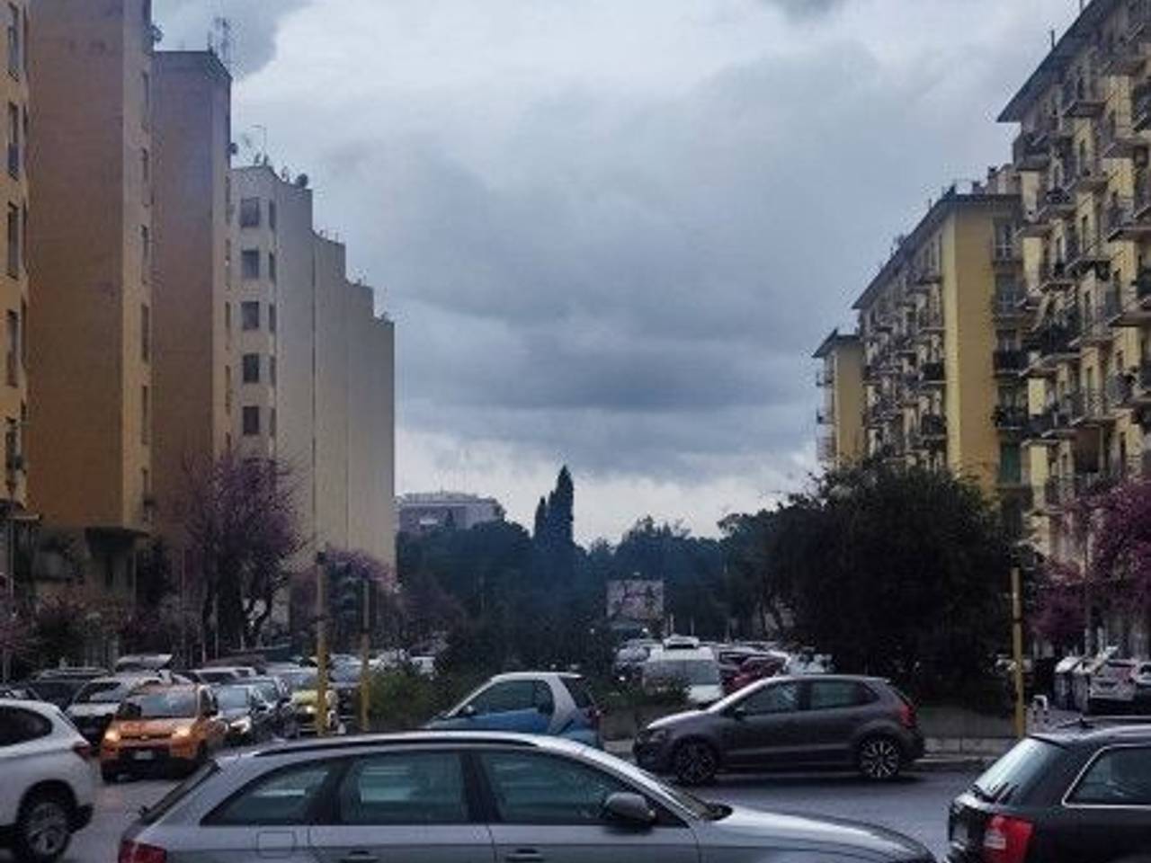 immagine annuncio 12 di 13