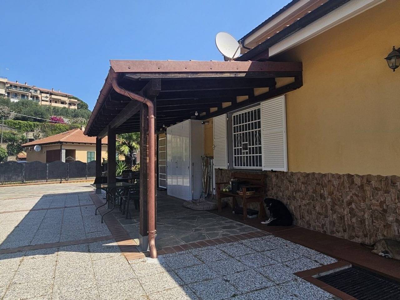 immagine annuncio 12 di 15