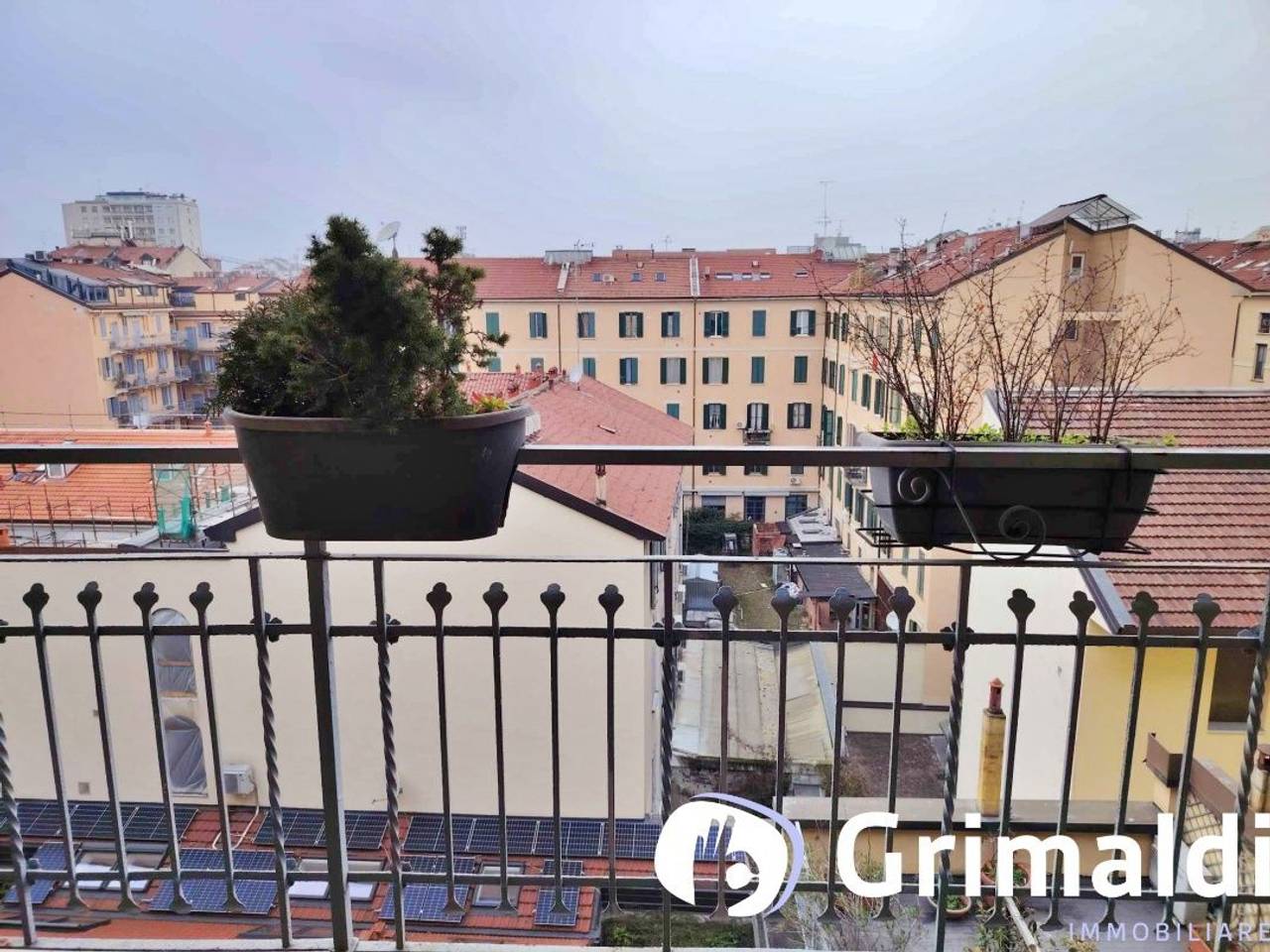 immagine annuncio 12 di 15