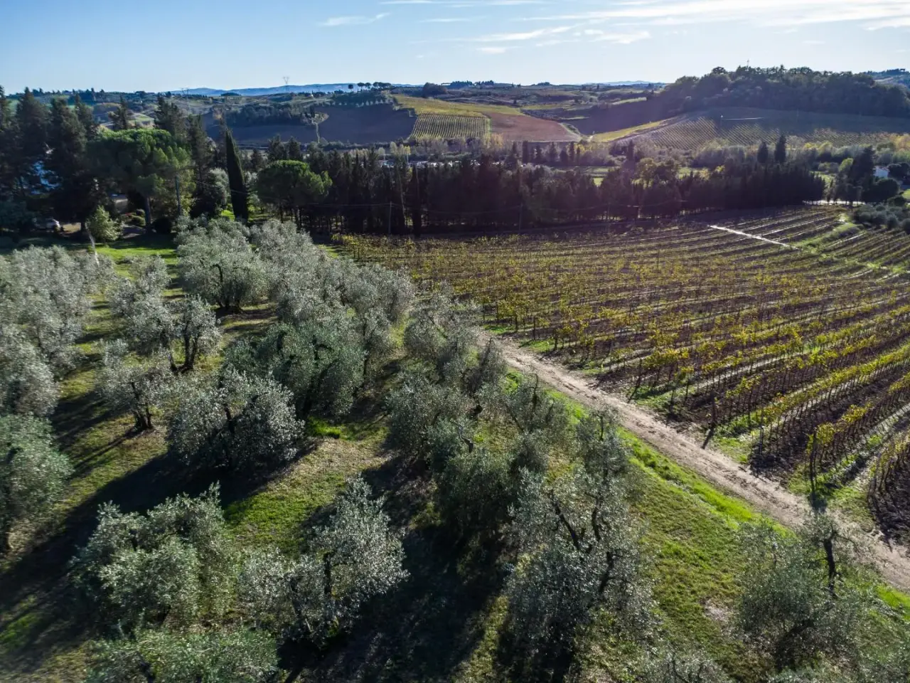 Azienda agricola in , Empoli, {3} - Foto 1