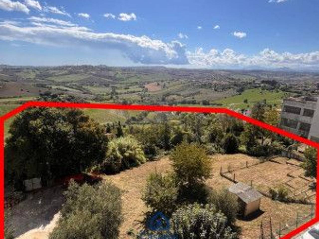 immagine annuncio 2 di 7