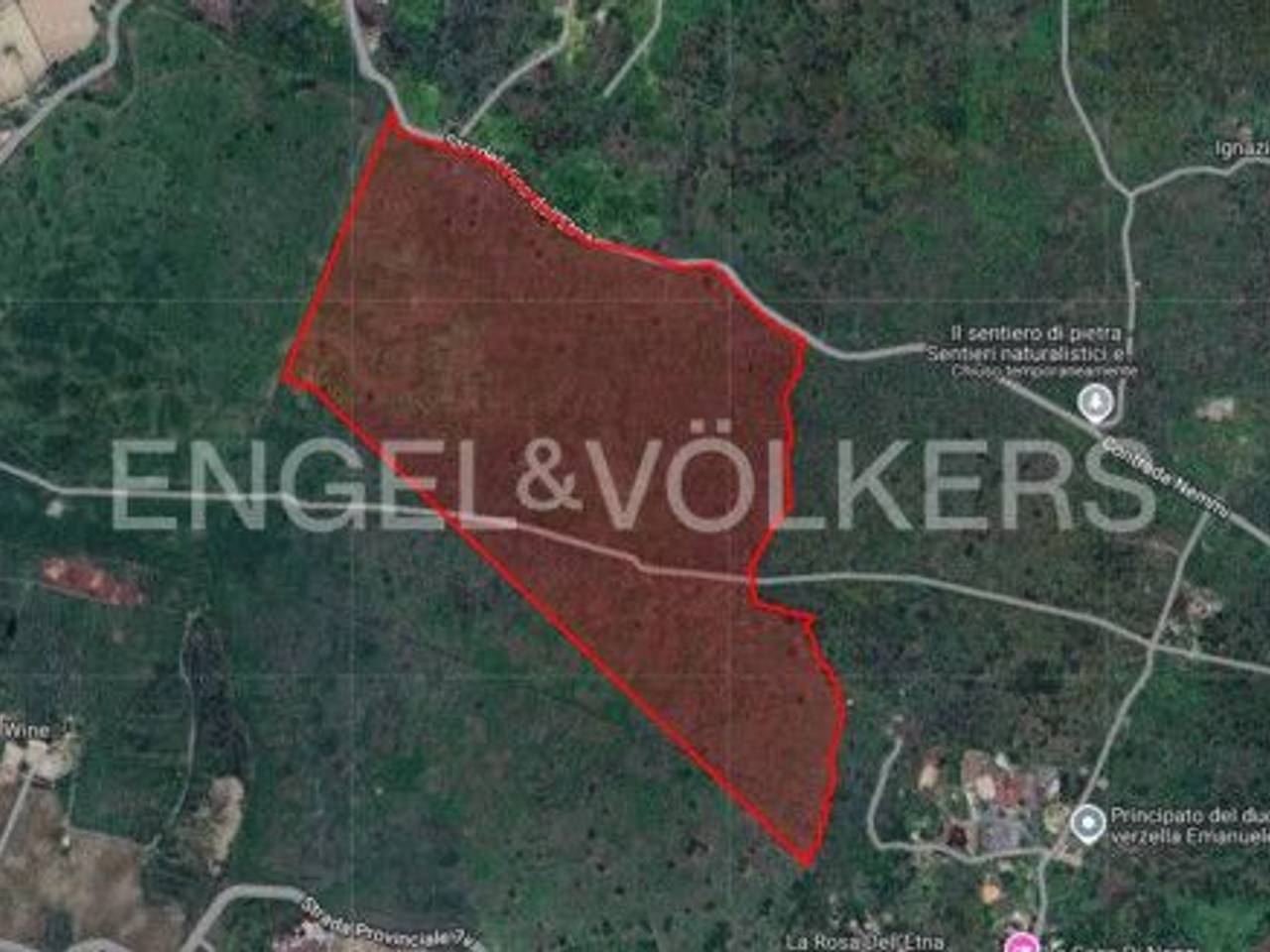 immagine annuncio 10 di 11