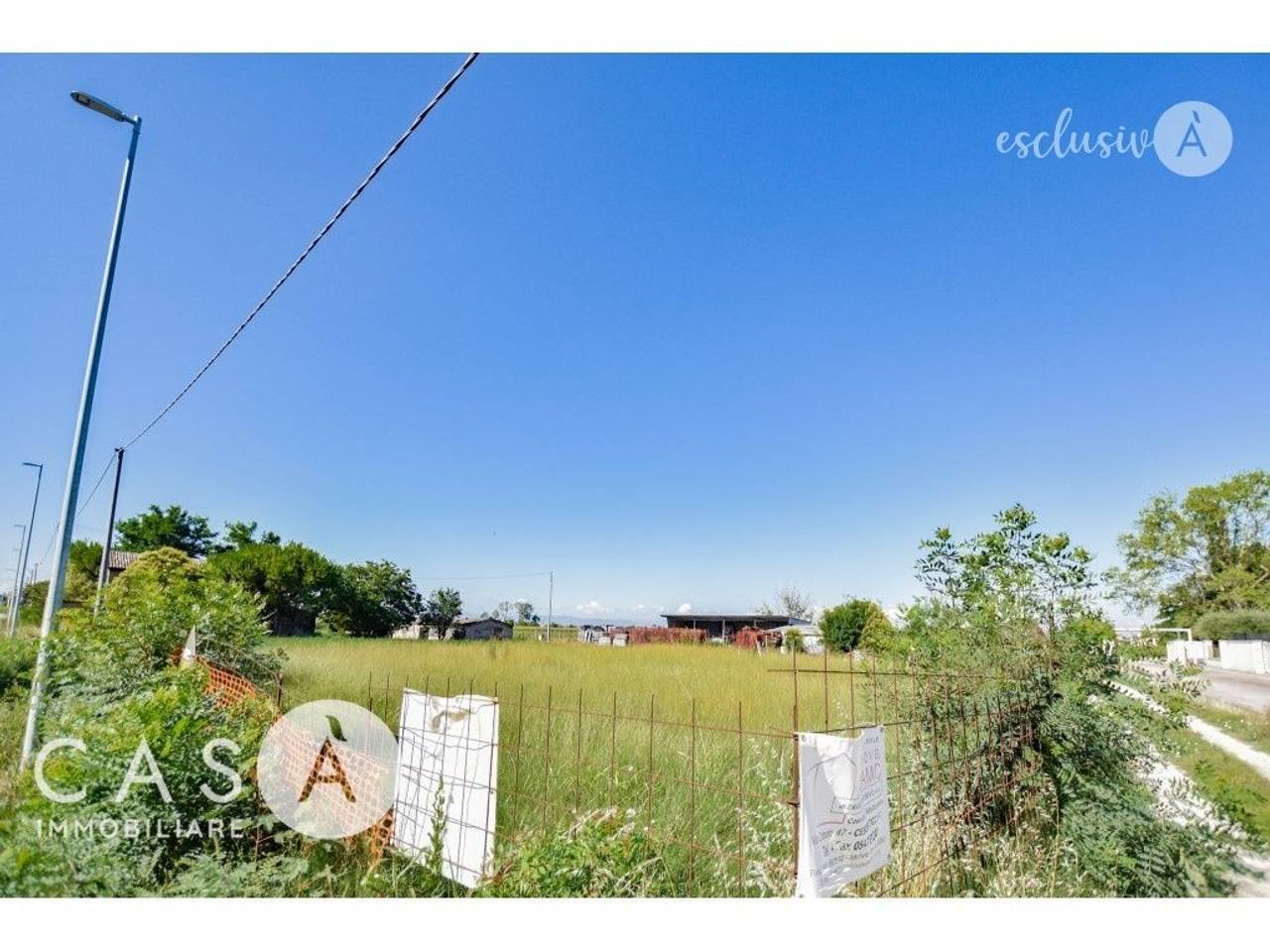 immagine annuncio 3 di 6