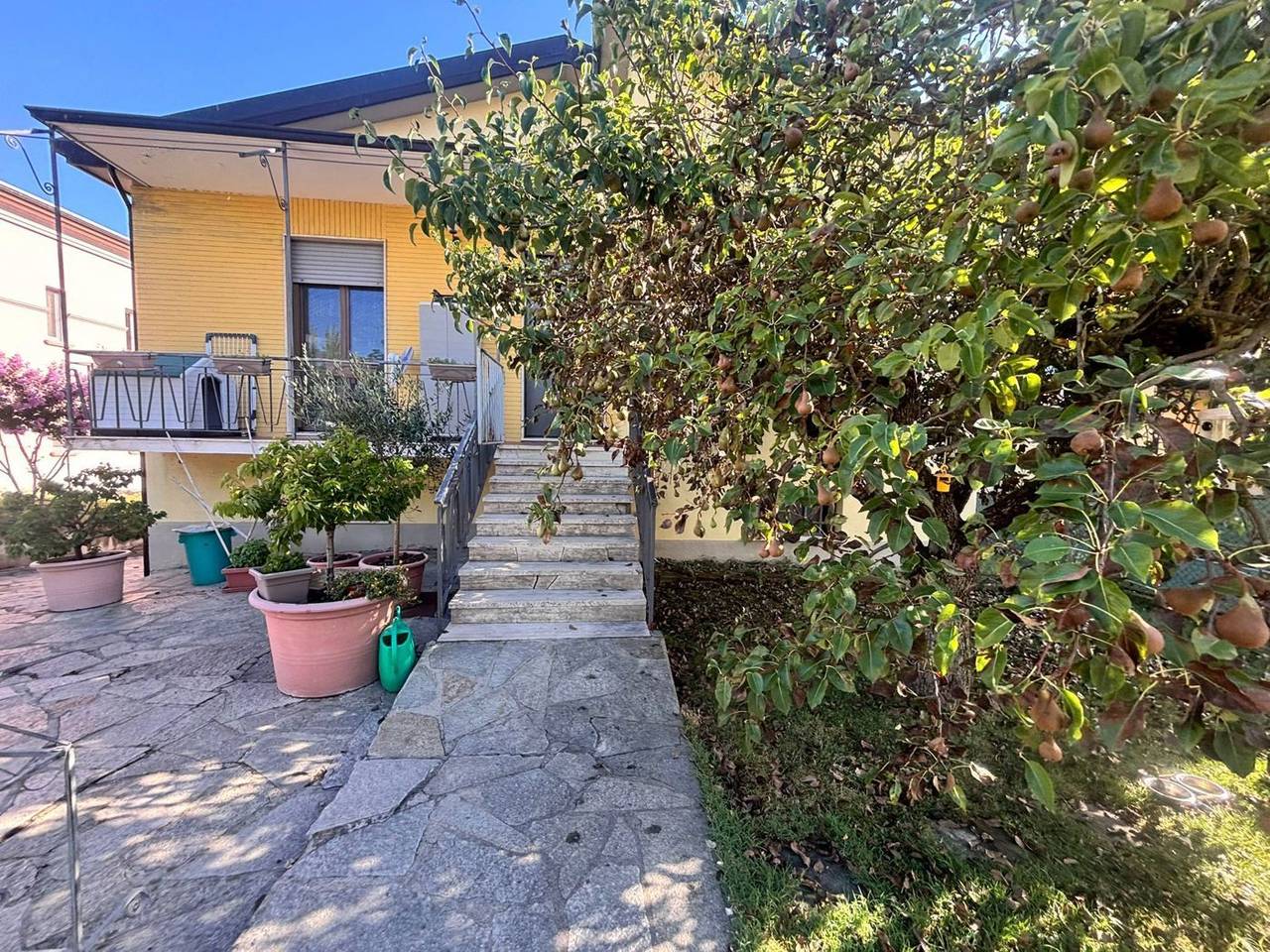 immagine annuncio 5 di 12