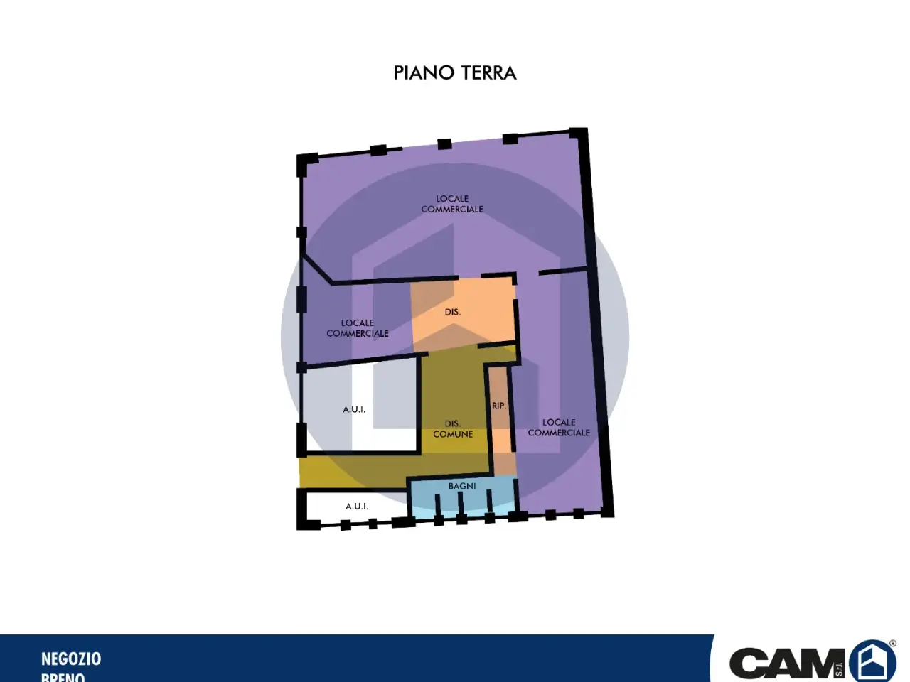 Negozio in Via Giuseppe Mazzini, Breno, {3} - Planimetria 1