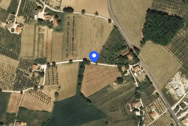 insertion image