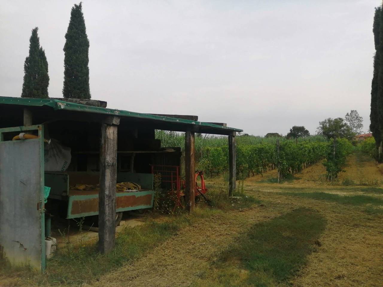 immagine annuncio 6 di 8