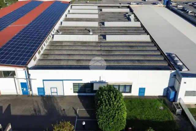 insertion image