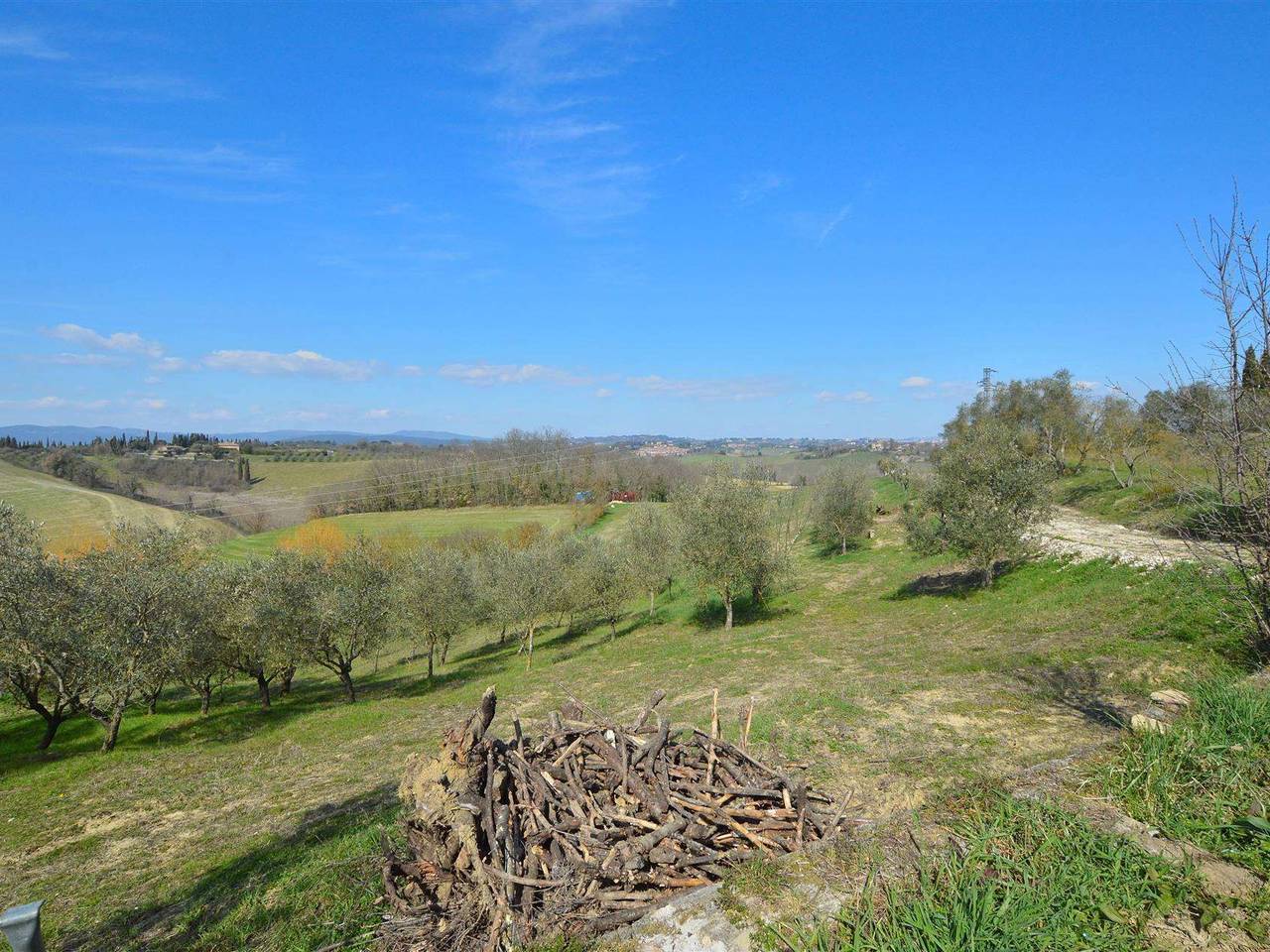 immagine annuncio 10 di 13