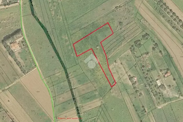 insertion image