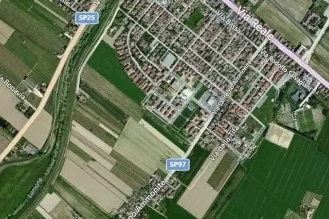 insertion image