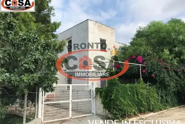 insertion image