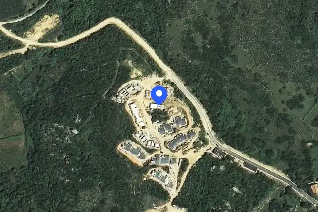 insertion image