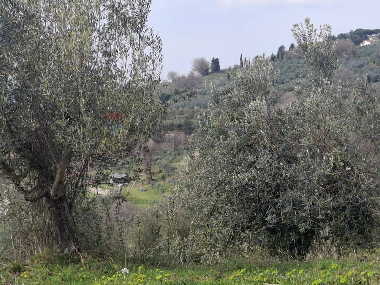 immagine annuncio 6 di 9