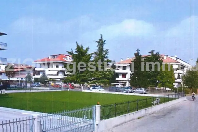 insertion image