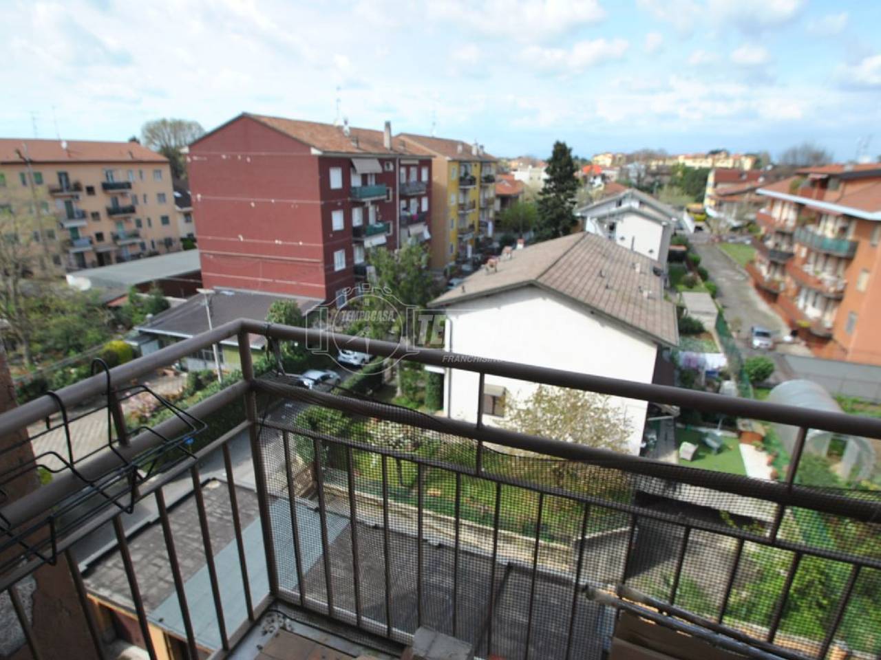 immagine annuncio 5 di 12