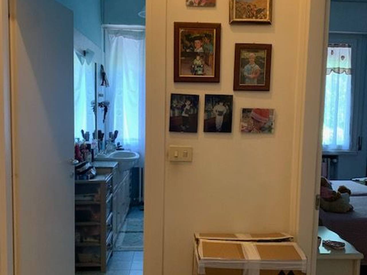 immagine annuncio 6 di 12