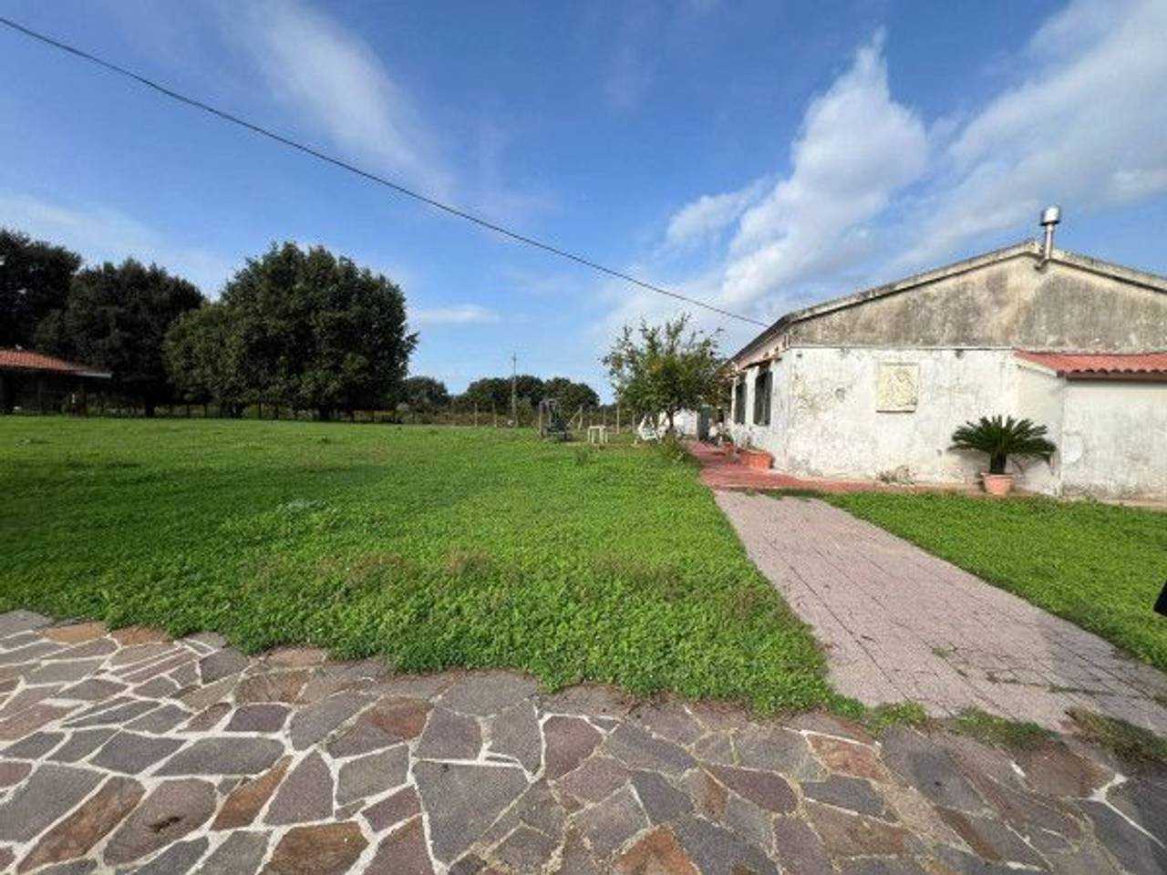 immagine annuncio 3 di 12