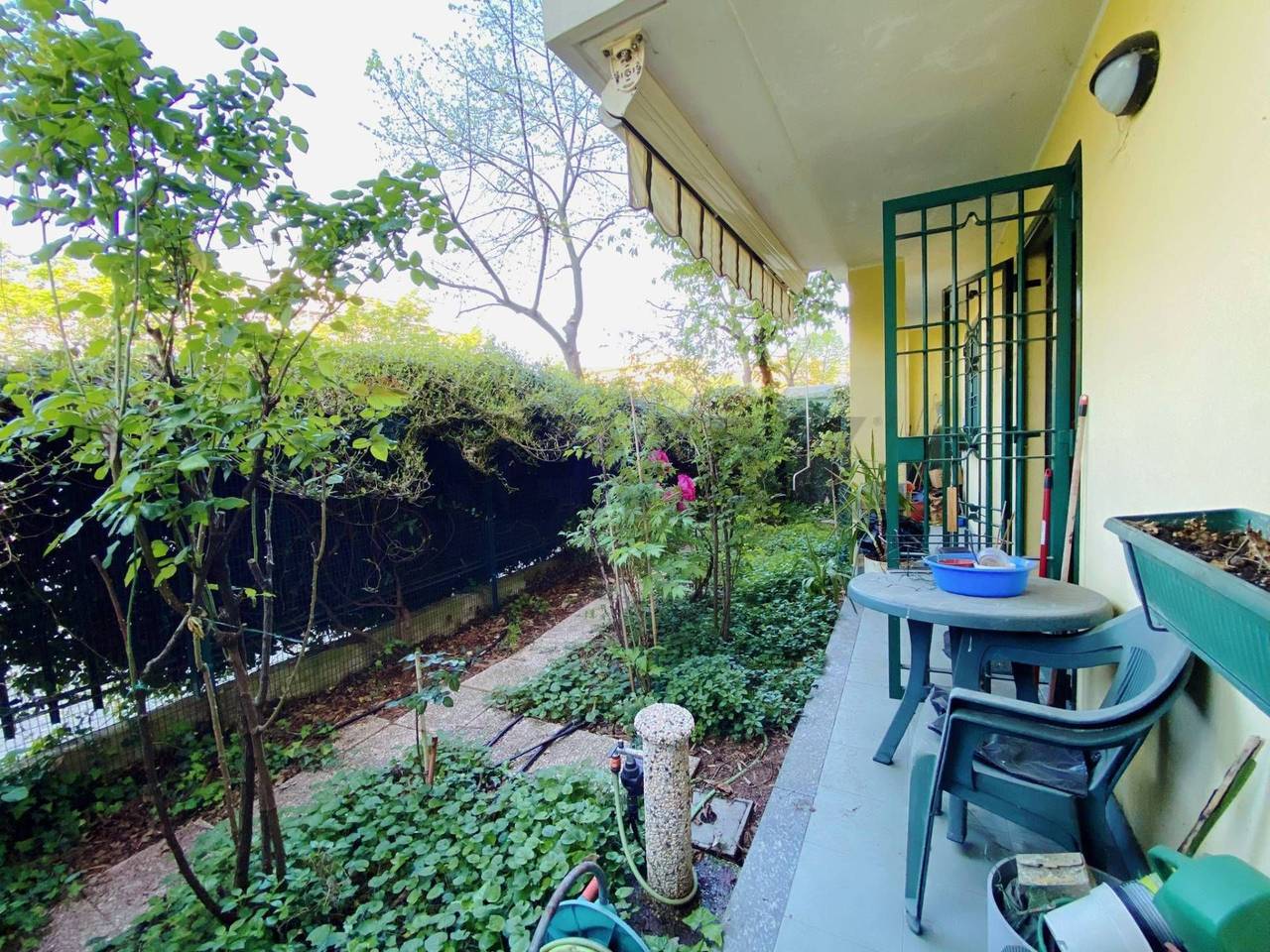 immagine annuncio 5 di 15