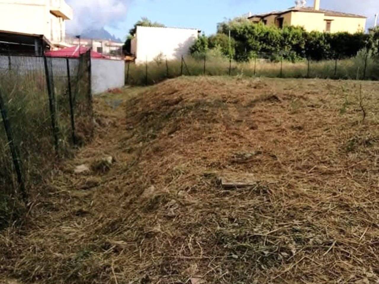 immagine annuncio 6 di 8